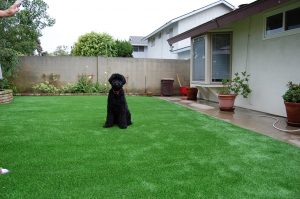 ▷🥇Escondido Junction Artificial Grass Companies in 92054