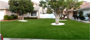 Artificial Grass Maintenance Contractor, Synthetic Lawn Cleaning and Maintenance Winchester NV